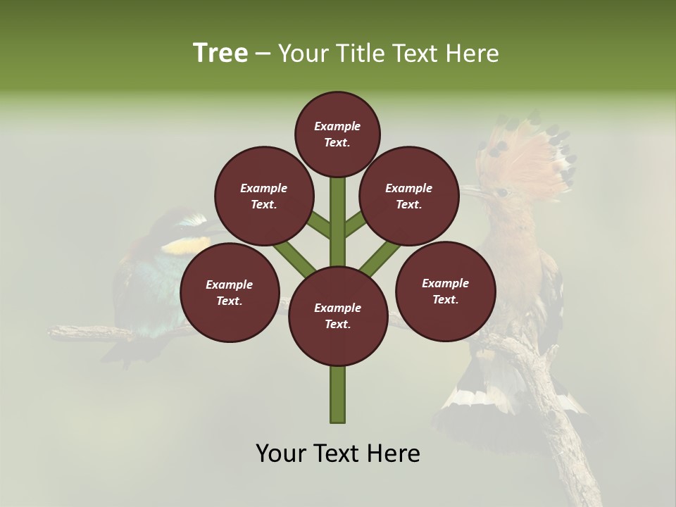 Kiskunsagi Breed Papaver PowerPoint Template