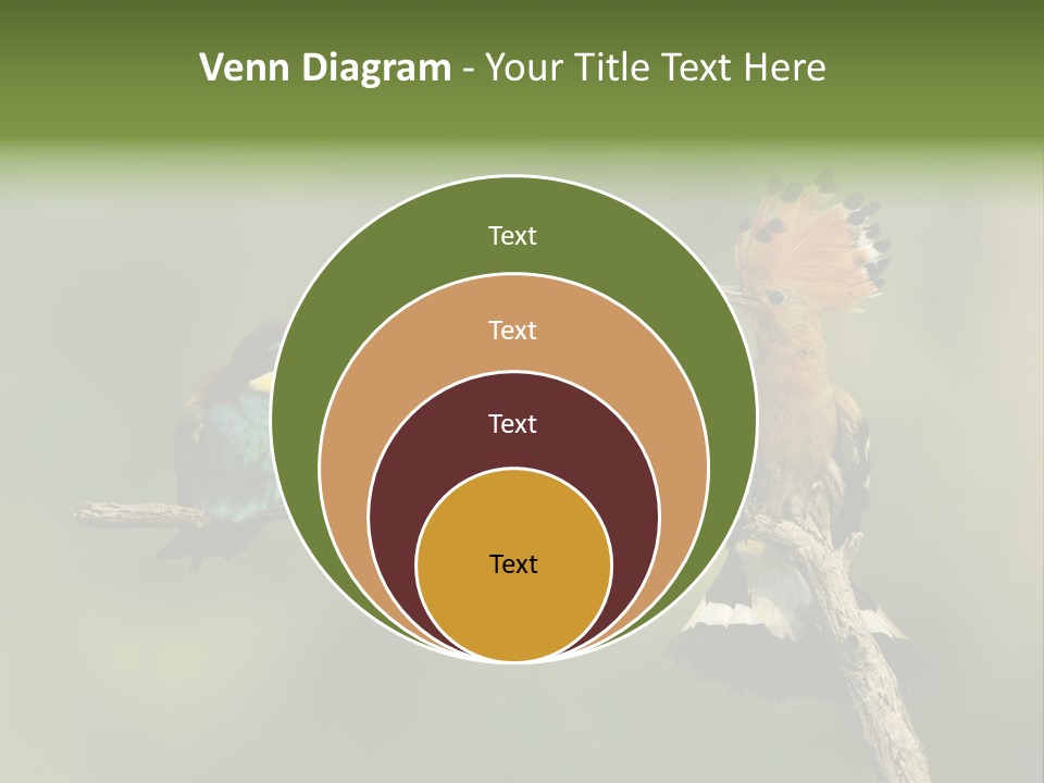 Kiskunsagi Breed Papaver PowerPoint Template