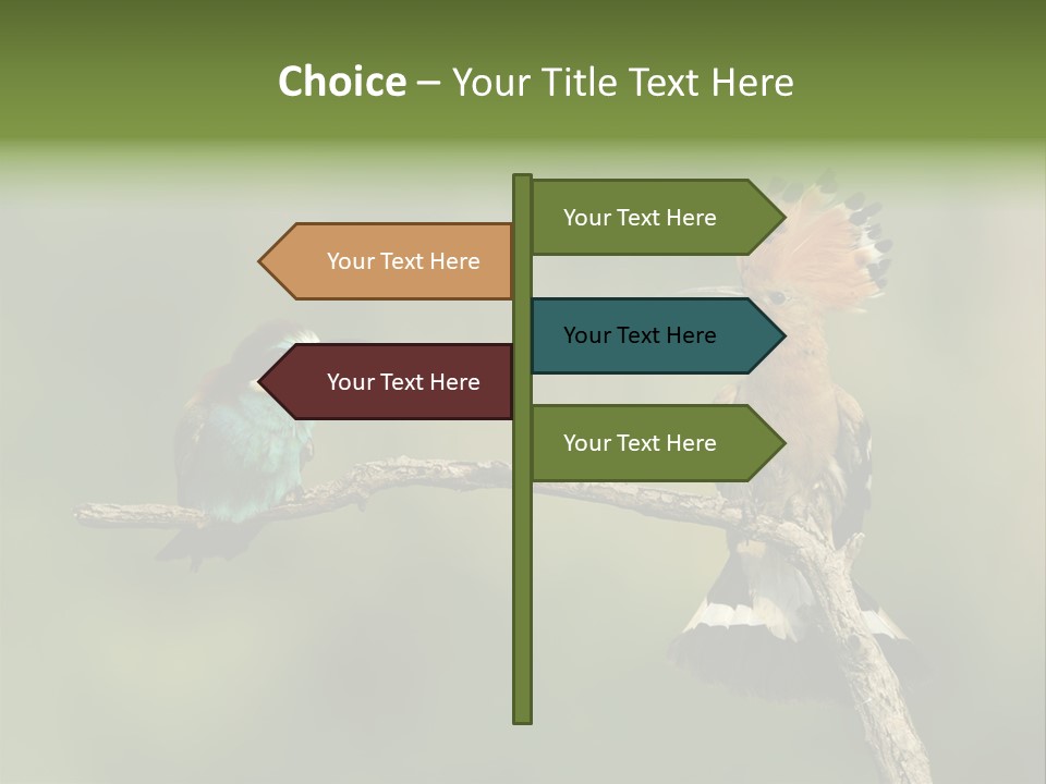 Kiskunsagi Breed Papaver PowerPoint Template