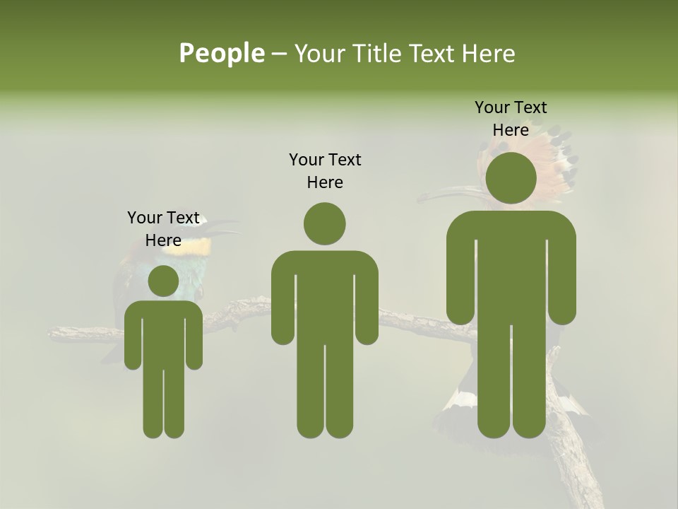 Kiskunsagi Breed Papaver PowerPoint Template