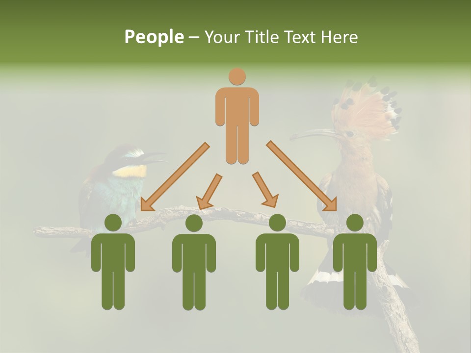 Kiskunsagi Breed Papaver PowerPoint Template