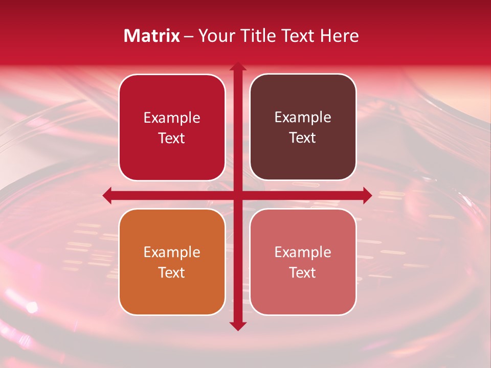 Red Petri Hygiene PowerPoint Template