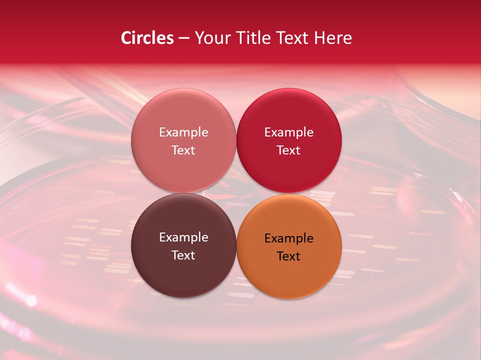 Red Petri Hygiene PowerPoint Template