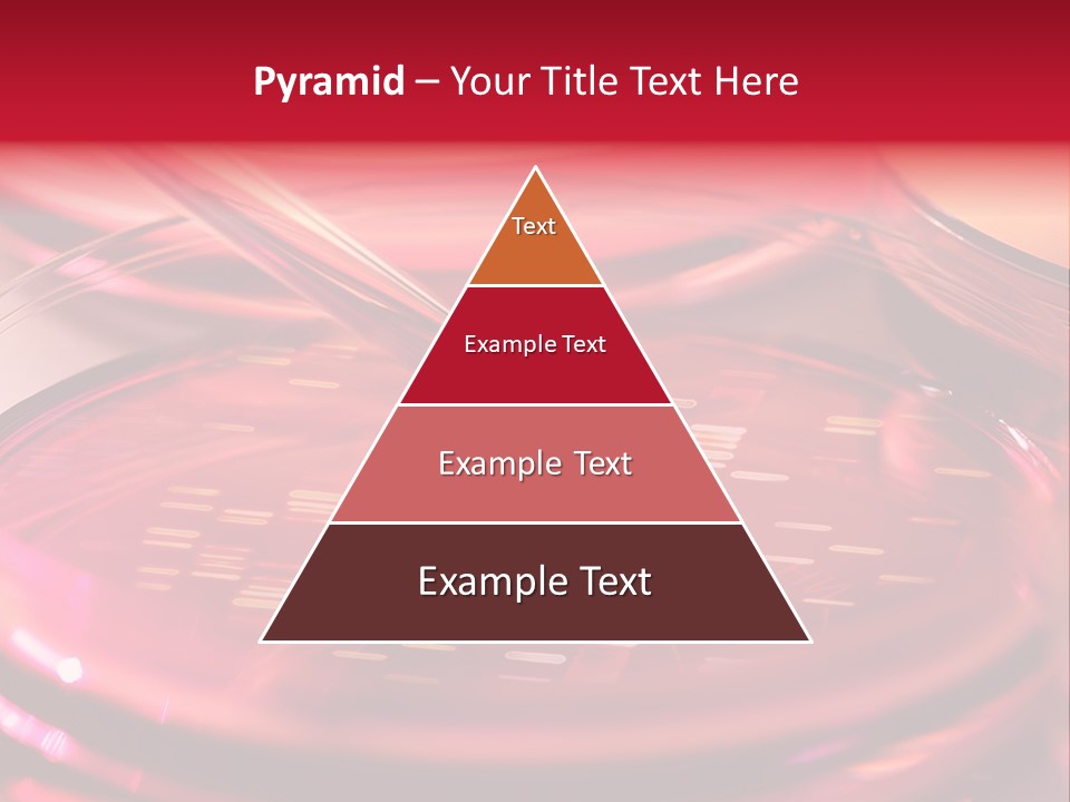 Red Petri Hygiene PowerPoint Template