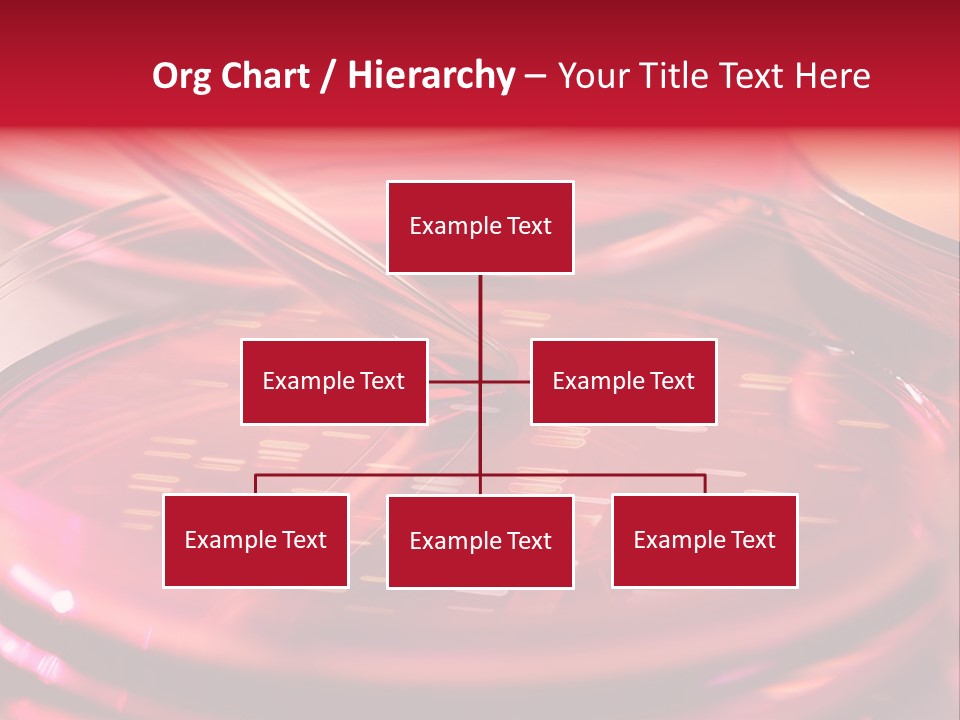 Red Petri Hygiene PowerPoint Template