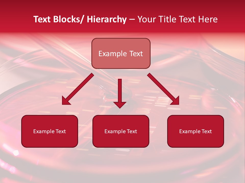 Red Petri Hygiene PowerPoint Template