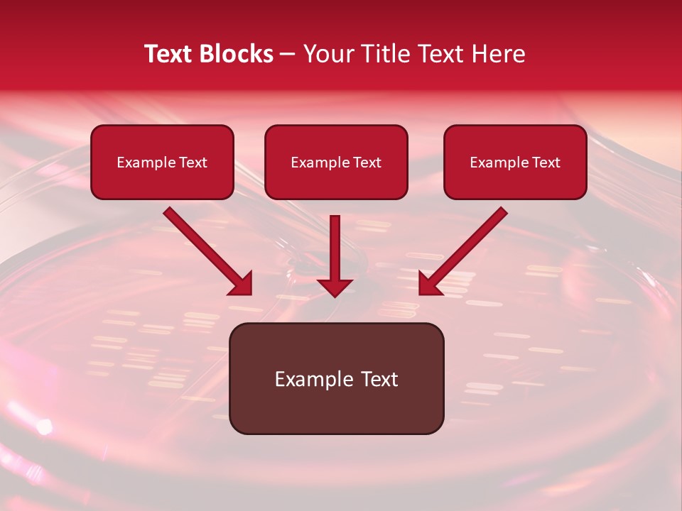 Red Petri Hygiene PowerPoint Template