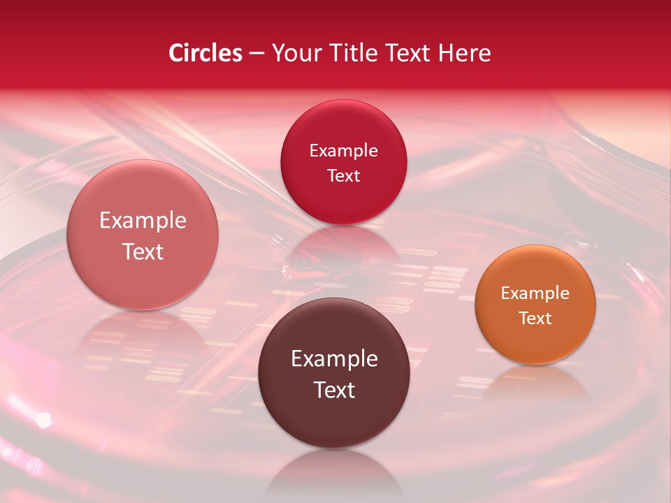 Red Petri Hygiene PowerPoint Template