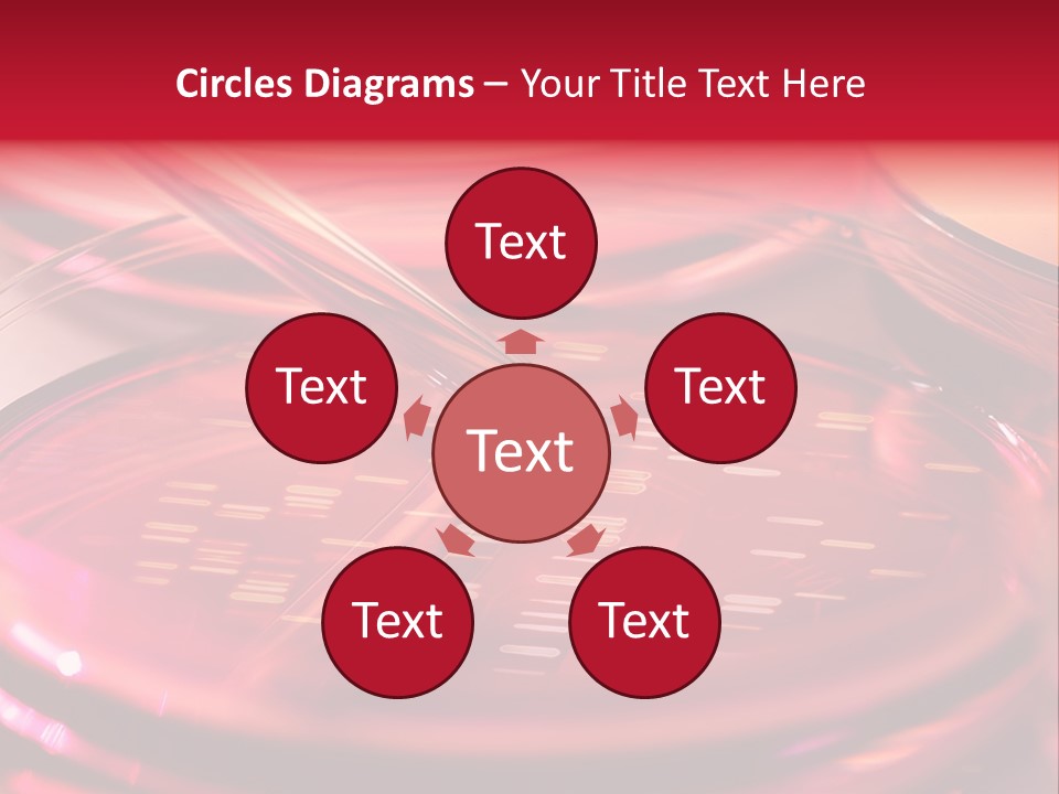 Red Petri Hygiene PowerPoint Template