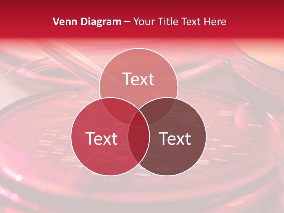 Red Petri Hygiene PowerPoint Template