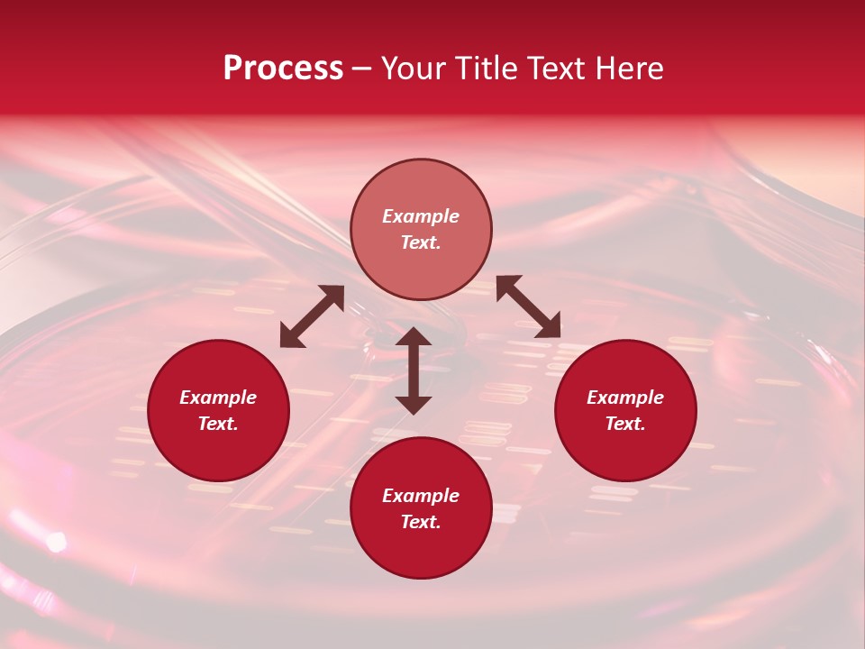Red Petri Hygiene PowerPoint Template