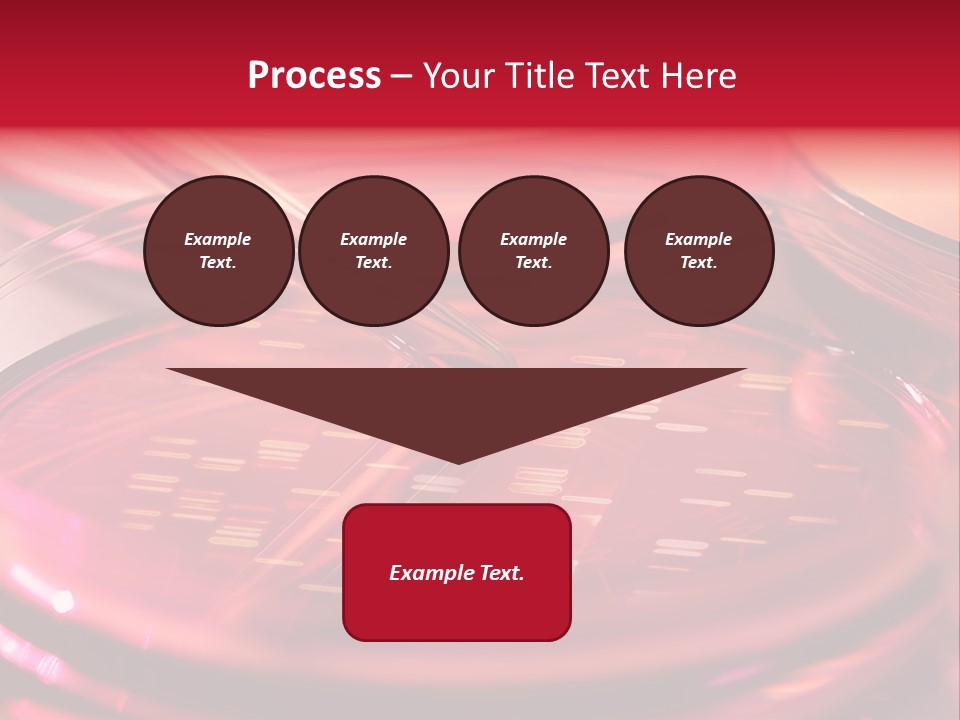 Red Petri Hygiene PowerPoint Template