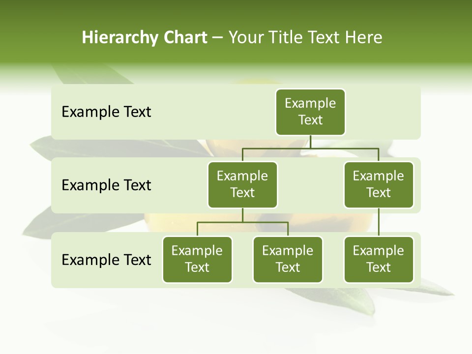 Bright Aceitunas Cooking PowerPoint Template