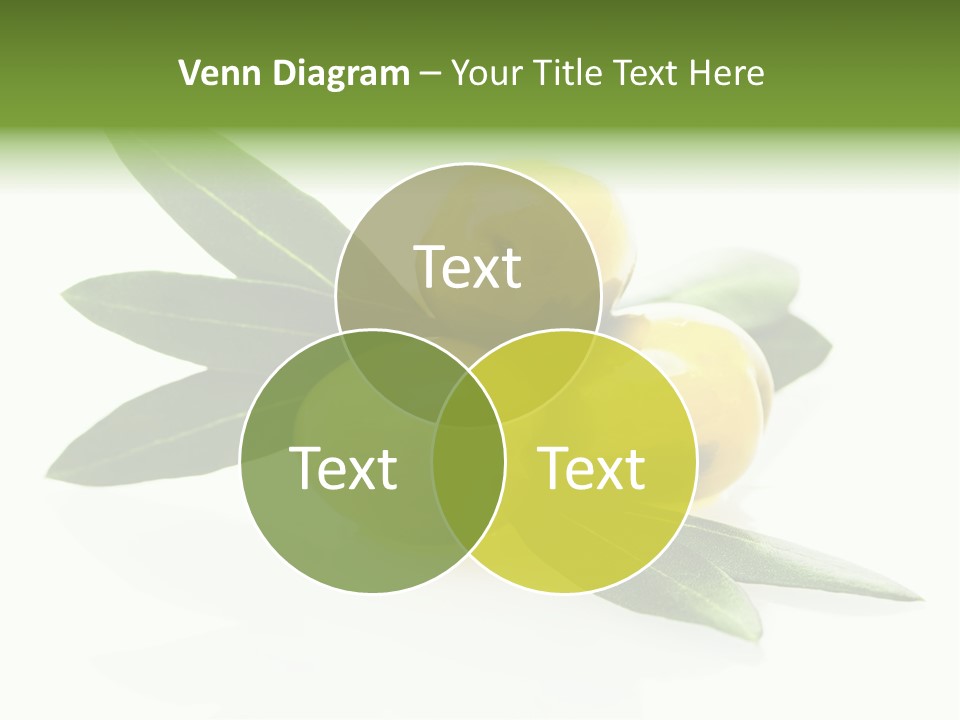 Bright Aceitunas Cooking PowerPoint Template