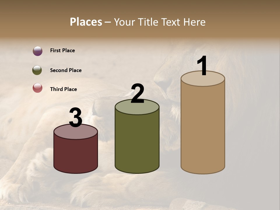 Animal Natural South PowerPoint Template