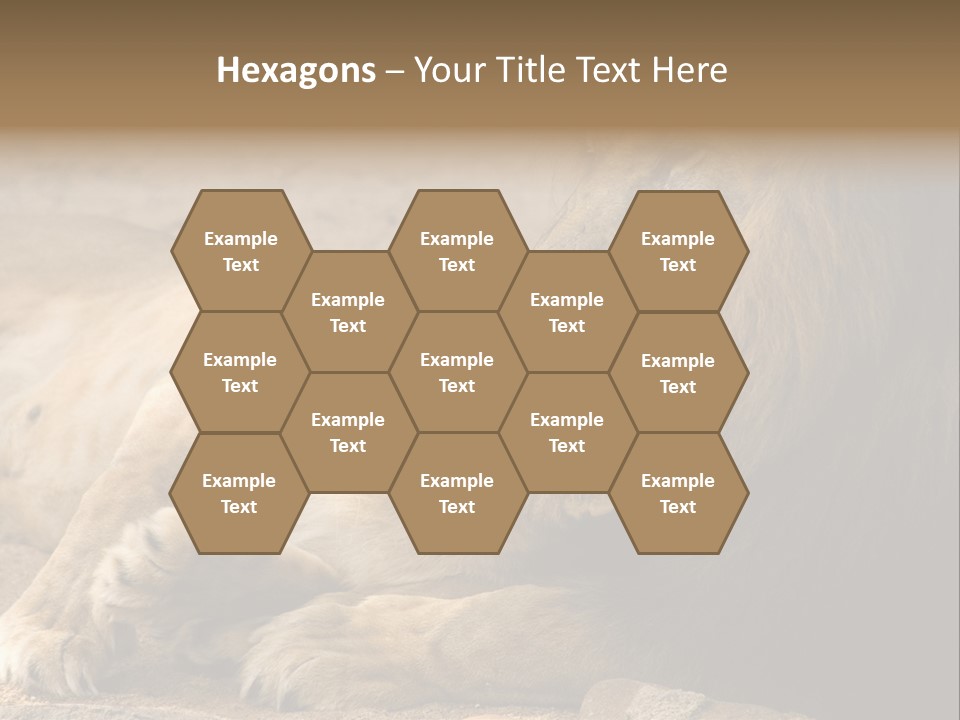 Animal Natural South PowerPoint Template