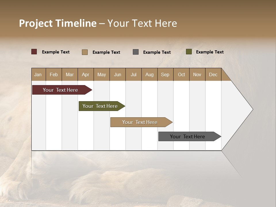 Animal Natural South PowerPoint Template