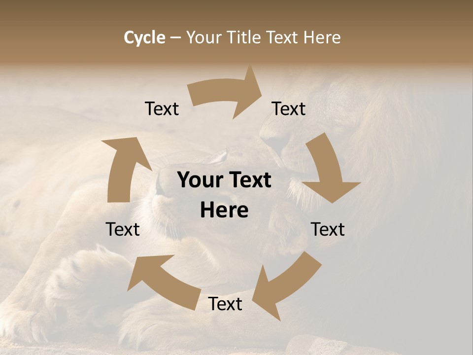 Animal Natural South PowerPoint Template