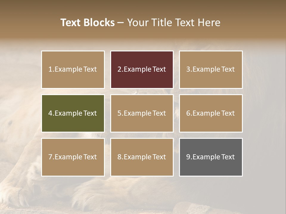 Animal Natural South PowerPoint Template