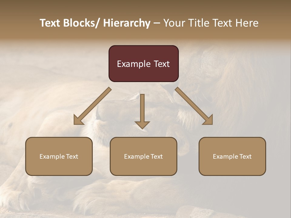 Animal Natural South PowerPoint Template