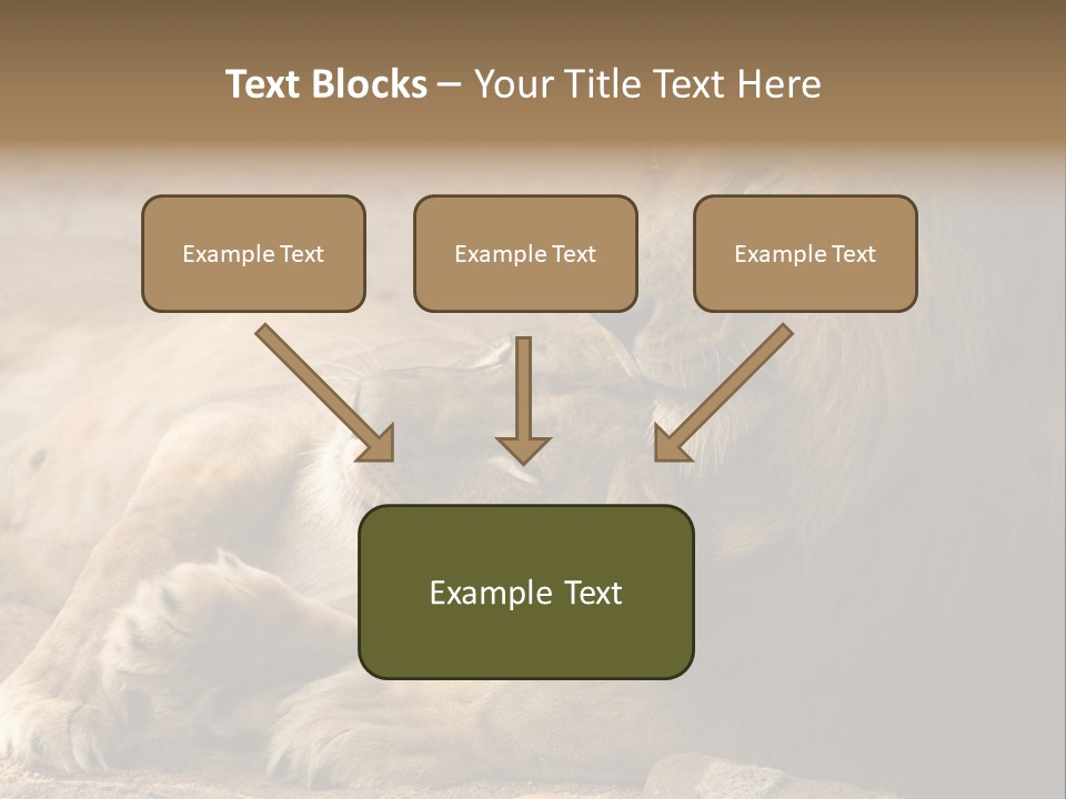 Animal Natural South PowerPoint Template