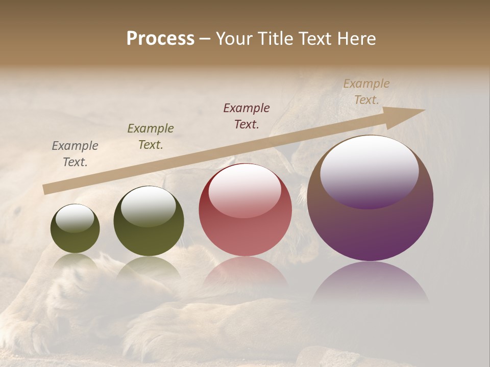 Animal Natural South PowerPoint Template