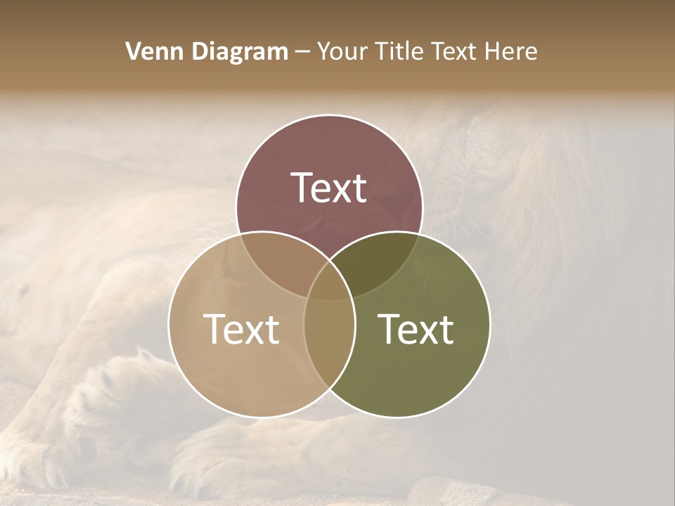 Animal Natural South PowerPoint Template