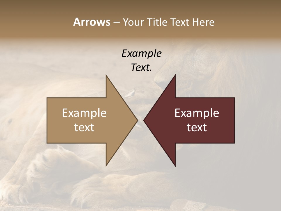 Animal Natural South PowerPoint Template