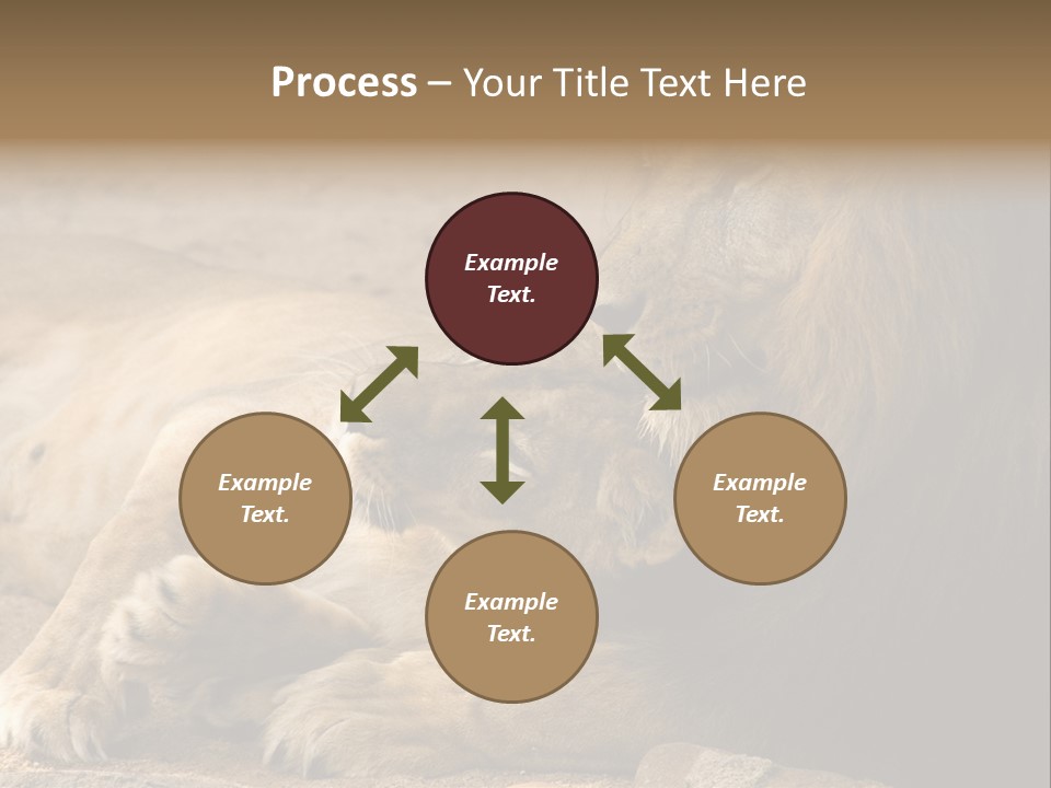 Animal Natural South PowerPoint Template