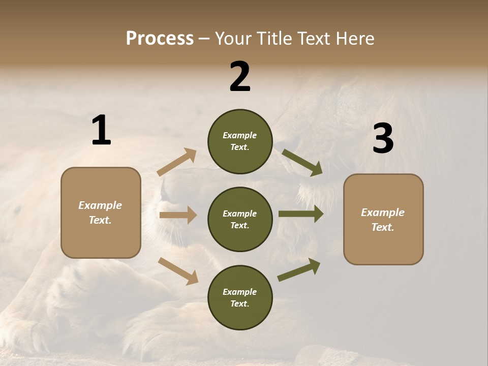 Animal Natural South PowerPoint Template