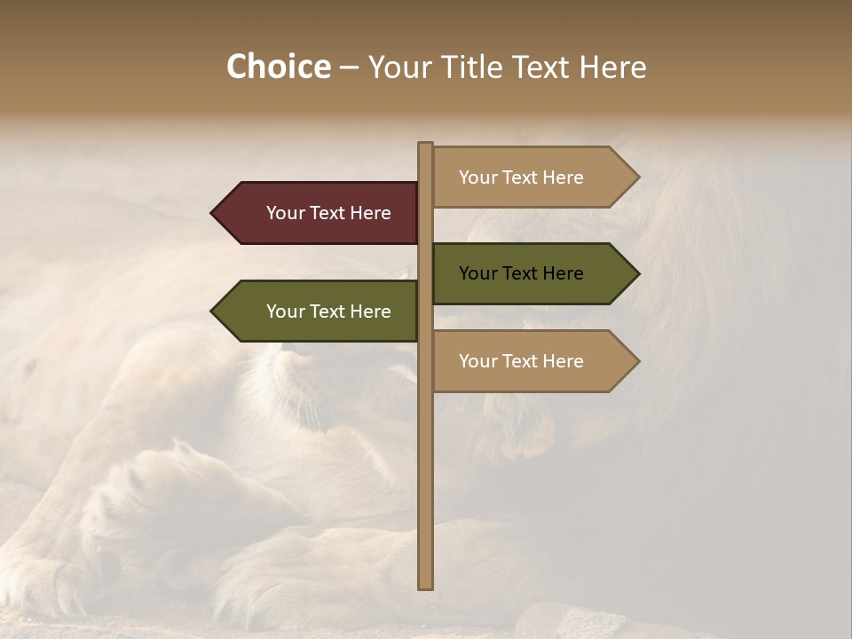 Animal Natural South PowerPoint Template