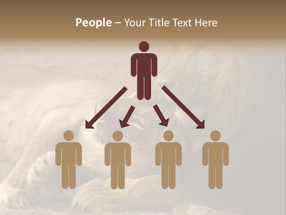 Animal Natural South PowerPoint Template