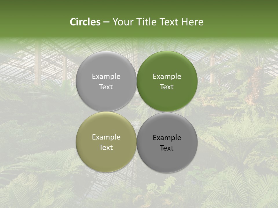 Glass Green Palm PowerPoint Template