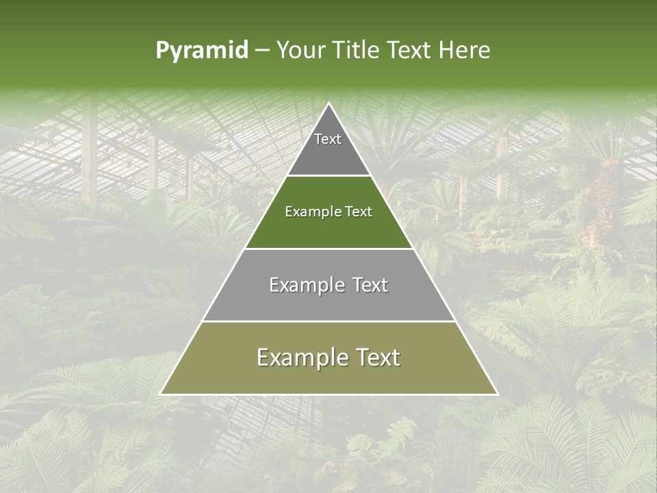 Glass Green Palm PowerPoint Template