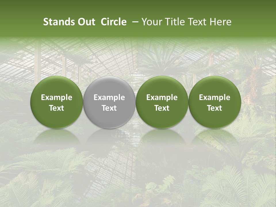 Glass Green Palm PowerPoint Template