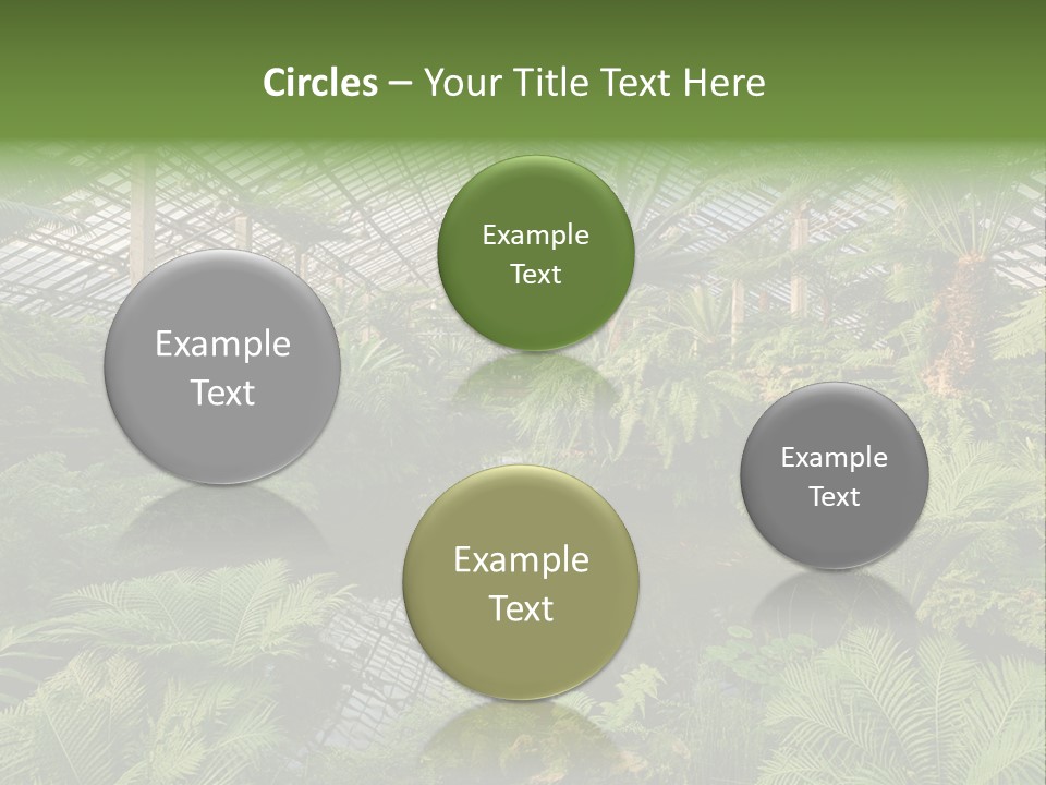 Glass Green Palm PowerPoint Template
