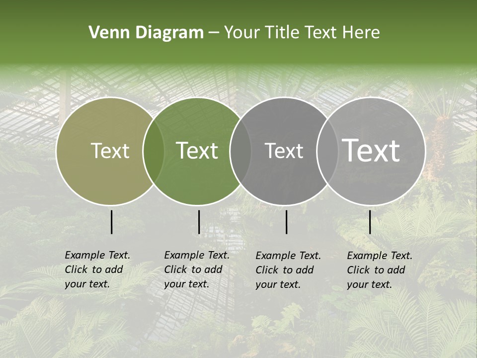 Glass Green Palm PowerPoint Template