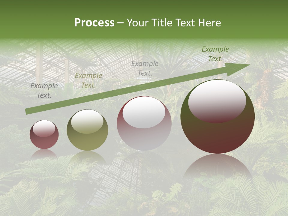 Glass Green Palm PowerPoint Template