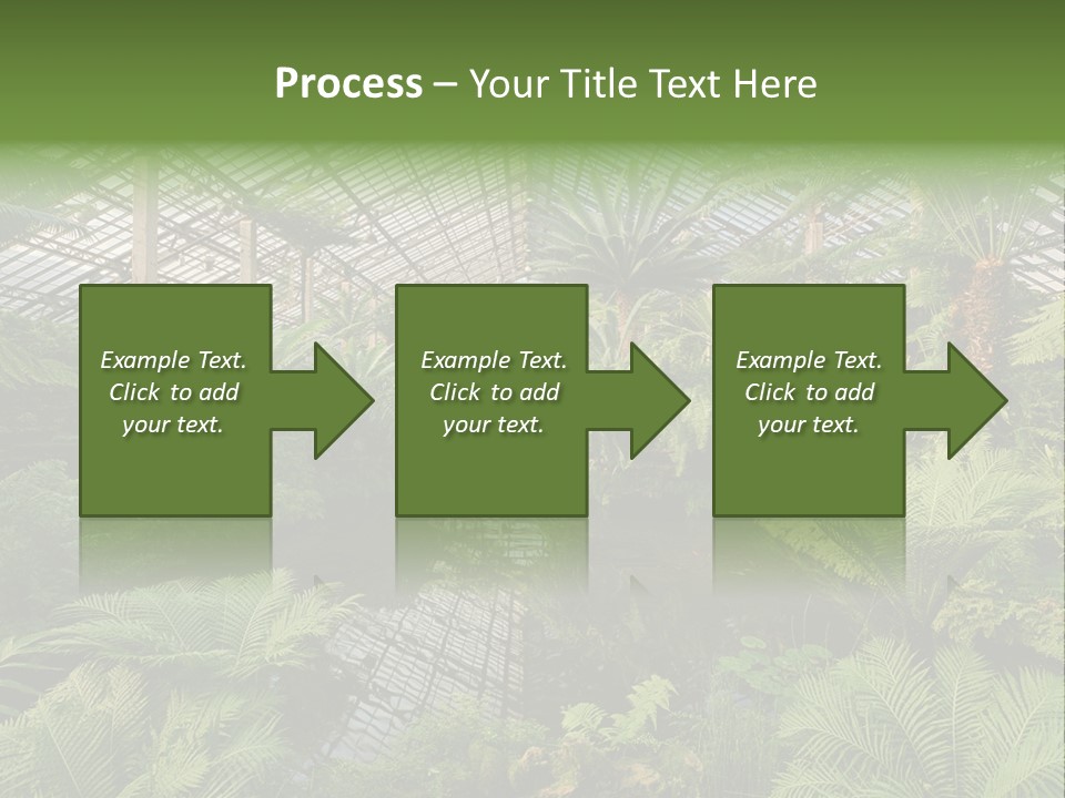 Glass Green Palm PowerPoint Template