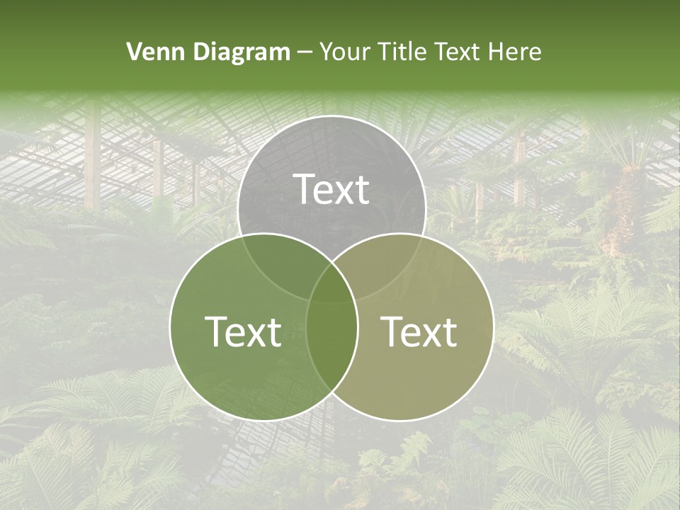 Glass Green Palm PowerPoint Template
