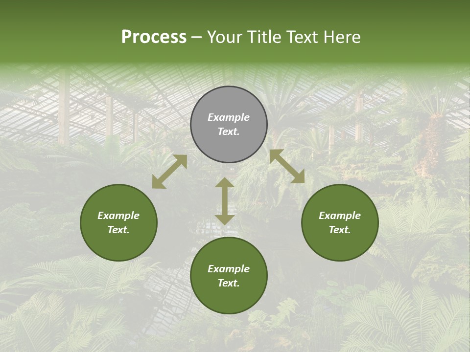Glass Green Palm PowerPoint Template