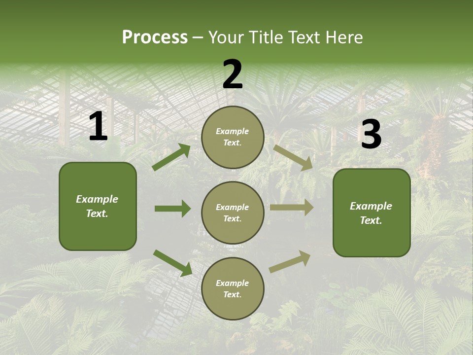 Glass Green Palm PowerPoint Template
