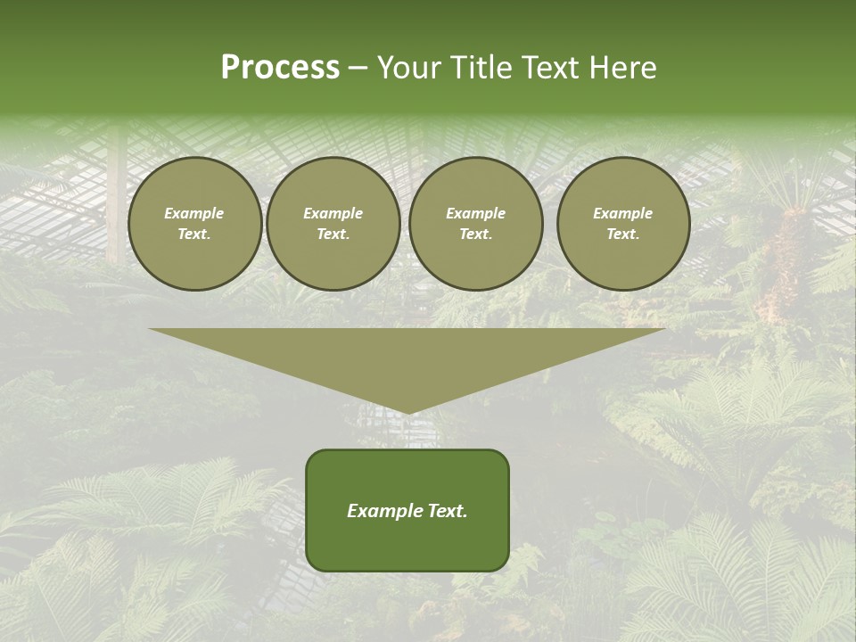 Glass Green Palm PowerPoint Template