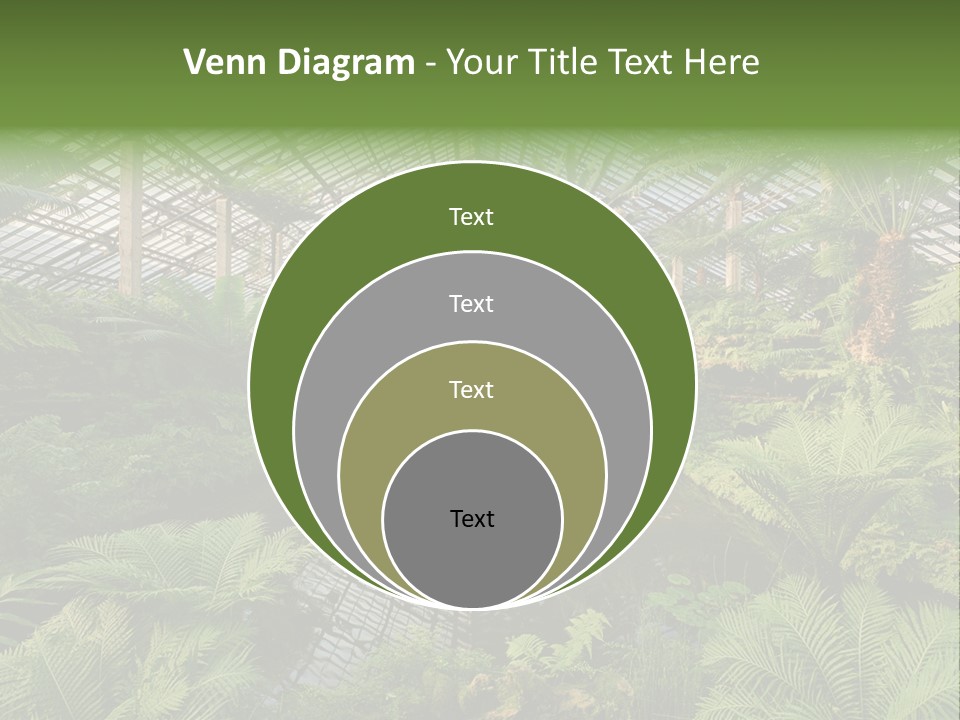 Glass Green Palm PowerPoint Template