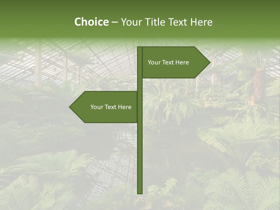 Glass Green Palm PowerPoint Template
