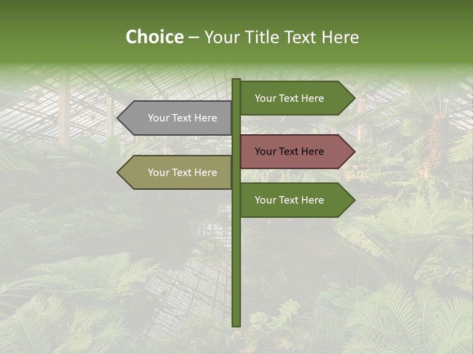 Glass Green Palm PowerPoint Template