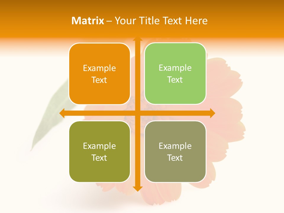 Beauty Flowers Calendula PowerPoint Template