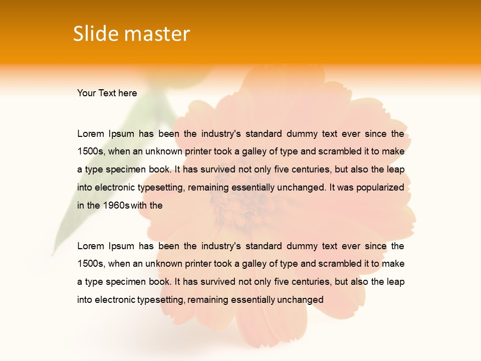 Beauty Flowers Calendula PowerPoint Template