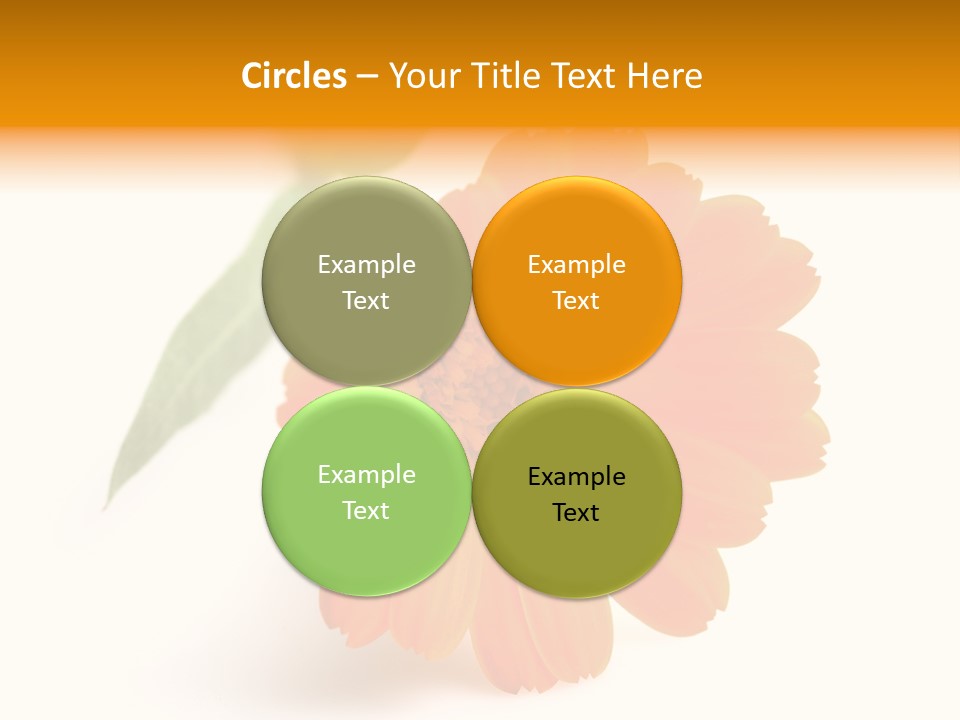 Beauty Flowers Calendula PowerPoint Template