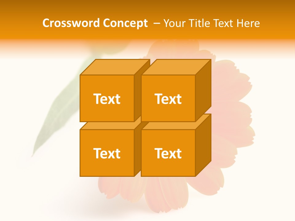 Beauty Flowers Calendula PowerPoint Template